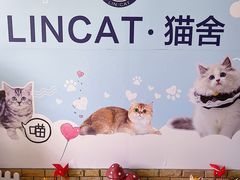 -lincat·猫舍(广州店)