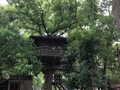-乌村