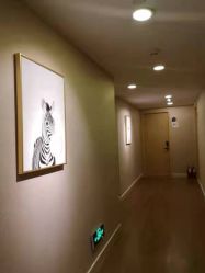 -海豚湾高端月子会所(黄浦店)