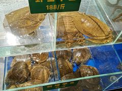 -笨笨甲甲鱼坊(蓝堡湾店)