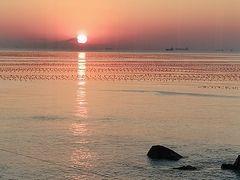 -海源公园