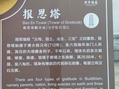 -国恩寺