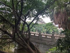 -柳侯公园
