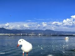 -海埂大坝