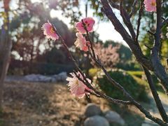 -苏州环秀晓筑养生度假村