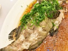 -富临皇宫(石门店)