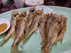 孜然小黄鱼-新白鹿餐厅(爱琴海购物中心店)