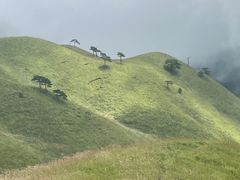 -萍乡武功山风景名胜区