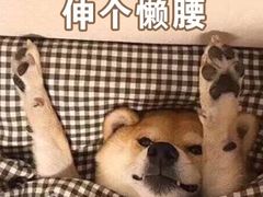 -荣波烤鸭(新世纪百货店)
