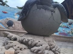 -广东惠东海龟国家级自然保护区