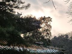 -潭柘寺景区