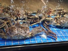 -徐记海鲜(观沙岭|滨江新城店)