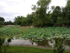 -北京小汤山医院体检中心