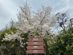 -苏州上方山国家森林公园