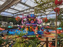 -南宫五洲植物乐园