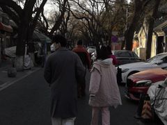 -北京国子监胡同