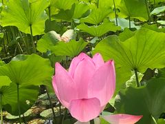 -陶辛水韵