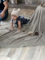 -星豆豆儿童摄影(南郊太白南路店)