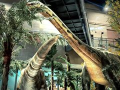 -湖南省地质博物馆