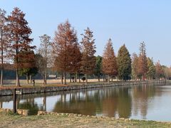 -广富林郊野公园-P5停车场