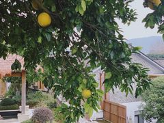 -红星坪温泉精品酒店