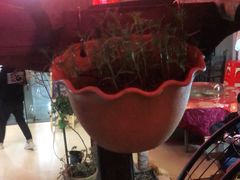-鱼乐岛餐厅·户外花园主题餐厅