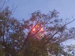 -番禺广场(市桥街道)