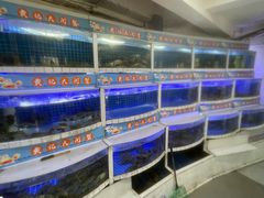 -黄记大闸蟹专卖店·活蟹·醉蟹