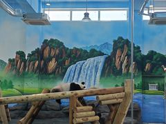 -秦皇岛野生动物园