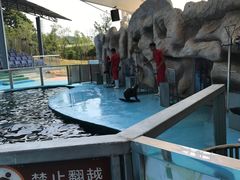 -泉州海丝野生动物世界