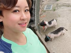 -前小桔亲子创意农场·草莓采摘·露营烧烤