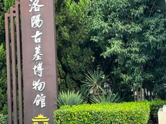 -洛阳古墓博物馆