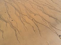 -西秀海滩公园