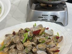 辣炒青岛小花蛤-船歌·鱼水饺青岛菜(国贸商城店)