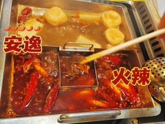 -野妹经典火锅(民治店)