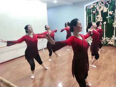 -梧桐花语舞蹈培训中心(潞城校区)