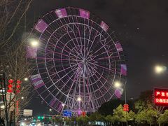 -南昌之星摩天轮