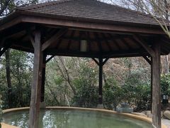 -天目湖涵田半山温泉