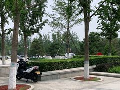 -大兴滨河森林公园