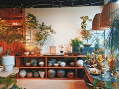 -自由生长植物工作室(深港花卉中心店)