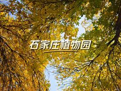 -石家庄市植物园