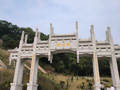 -梧桐山风景名胜区