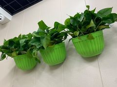 -北戴河庆山饭店·海鲜砂锅粥(北戴河黑石路店)