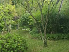 -成飞公园