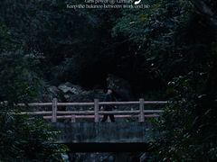 -南漈山