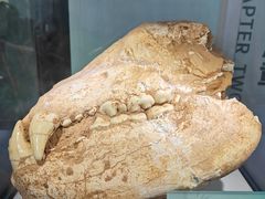 -湖南省地质博物馆