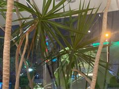 -gaga(深圳南山益田假日广场店)