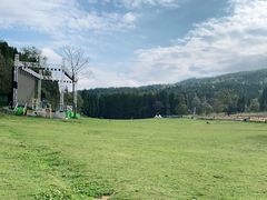 -武陵山森林公园