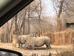 -北京野生动物园