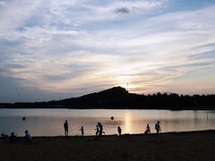 -上海月湖雕塑公园